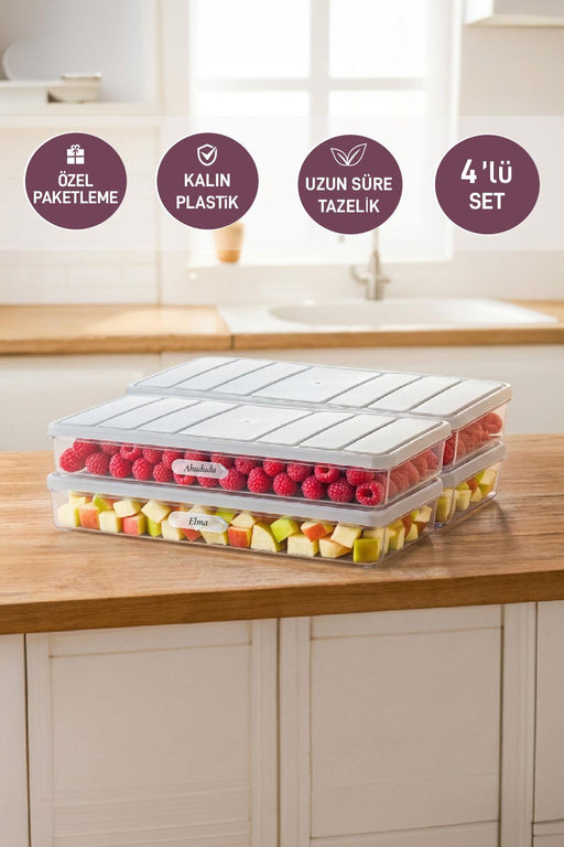 4 Adet 1 Lt. Nora Organizer Buzdolabı Buzluk Düzenleyici Saklama Kabı - Selka Home | Şık tasarımlar akıllı çözümler