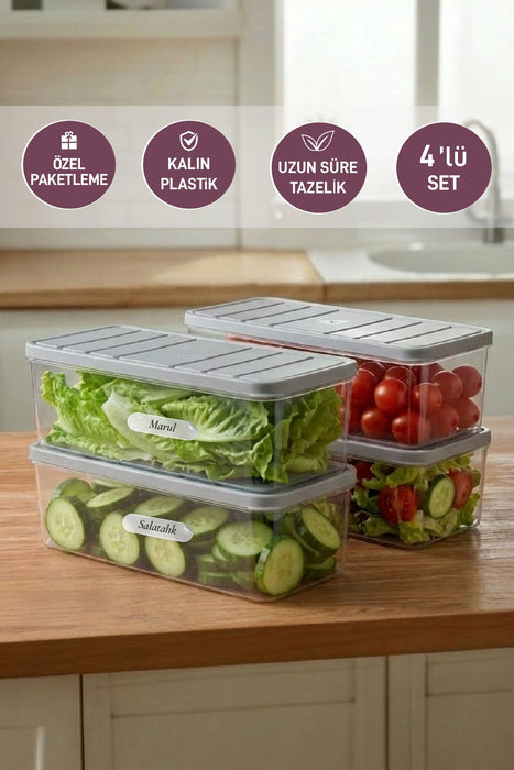 4 Adet 2 Lt. Nora Organizer Buzdolabı Buzluk Düzenleyici Saklama Kabı - Selka Home | Şık tasarımlar akıllı çözümler