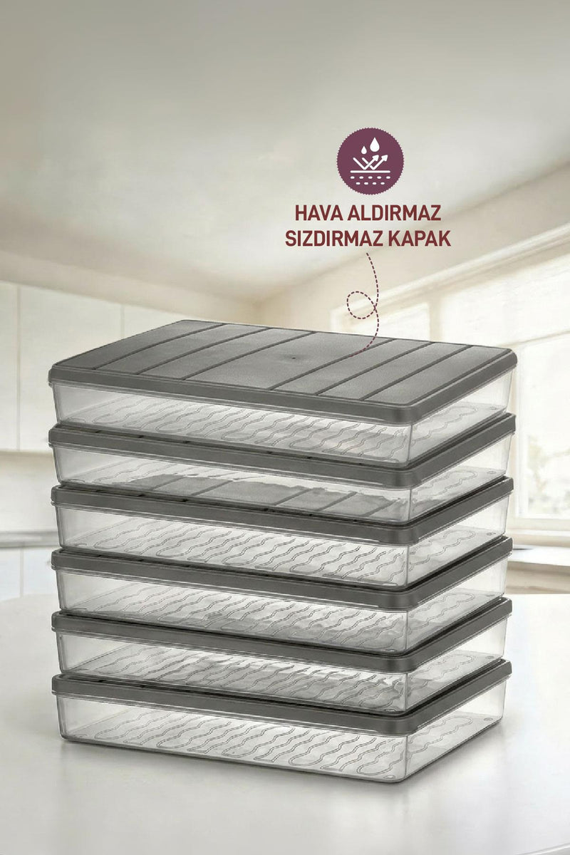 6 Adet 2,25 Lt . Nora Organizer Buzdolabı Buzluk Düzenleyici Saklama Kabı - Selka Home | Şık tasarımlar akıllı çözümler