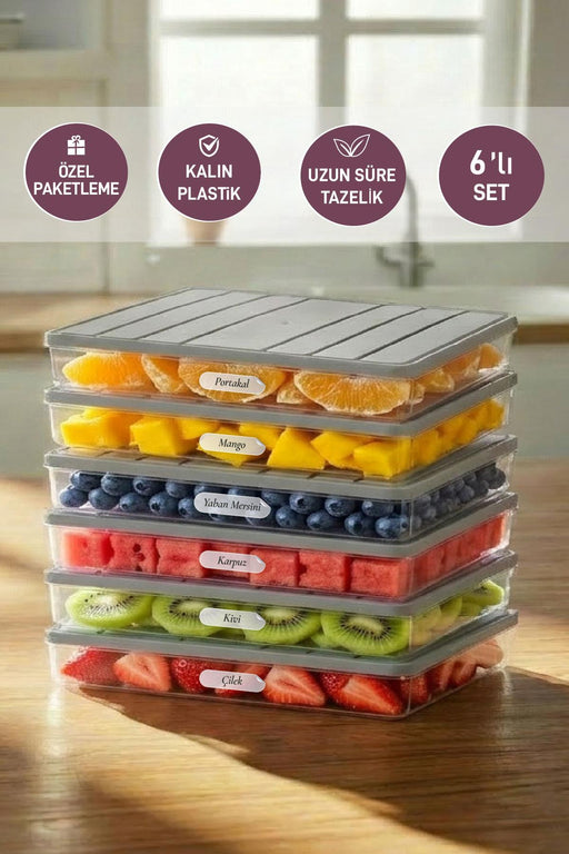 6 Adet 2,5 Lt. Nora Organizer Buzdolabı Buzluk Düzenleyici Saklama Kabı - Selka Home | Şık tasarımlar akıllı çözümler