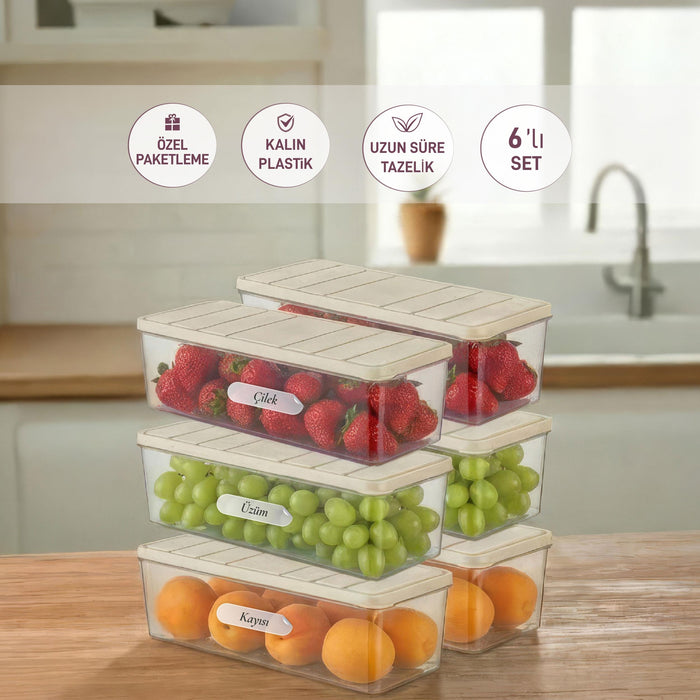 6 Adet 2 Lt. Nora Organizer Buzdolabı Buzluk Düzenleyici Saklama Kabı - Selka Home | Şık tasarımlar akıllı çözümler