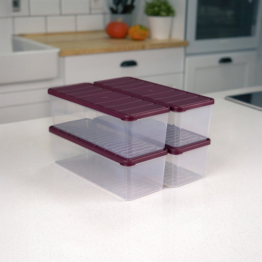 Selka Nora 4 Adet 2 Lt. Saklama Kabı - Selka Home | Şık tasarımlar akıllı çözümler