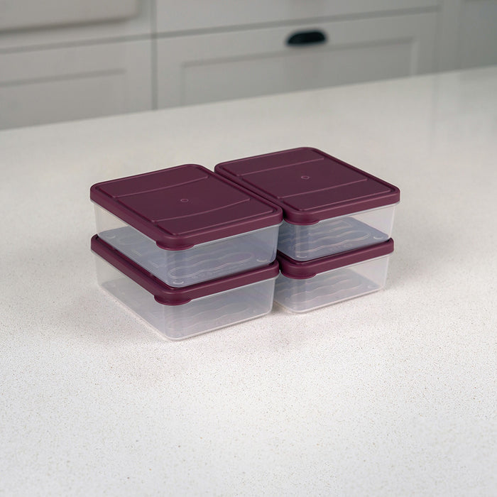 Selka Nora 4 Adet 0.5 Lt. Saklama Kabı