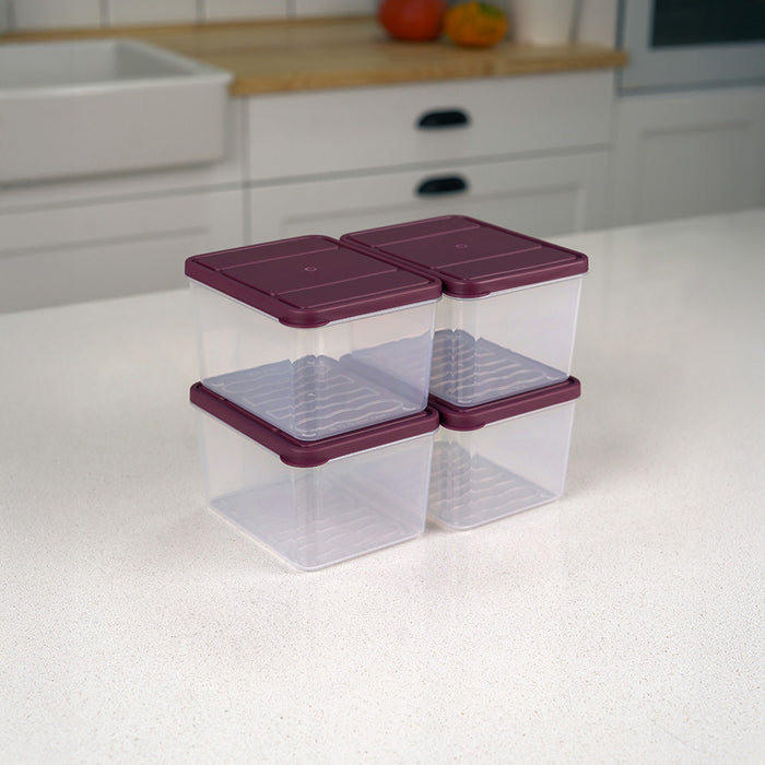 Selka Nora 4 Adet Derin 1 Lt. Saklama Kabı