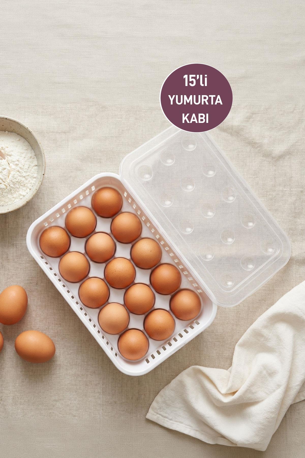 Yumurtalık