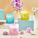 Selka Home Hyleg Candle Cam Mum 480 gr - Selka Home | Şık tasarımlar akıllı çözümler