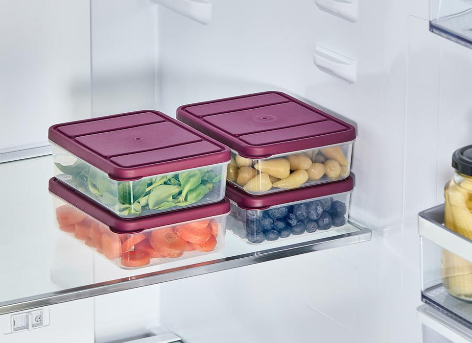 4 Adet 0.5 Lt. Nora Organizer Buzdolabı Buzluk Düzenleyici Saklama Kabı